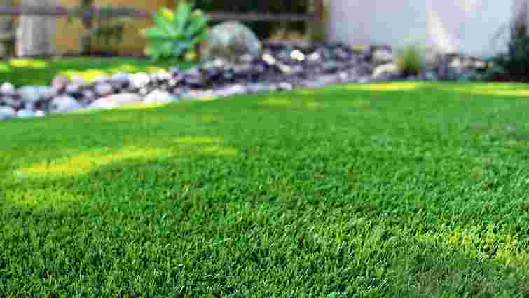 Відновлення газону як шлях до ідеальної трав’яної поверхні